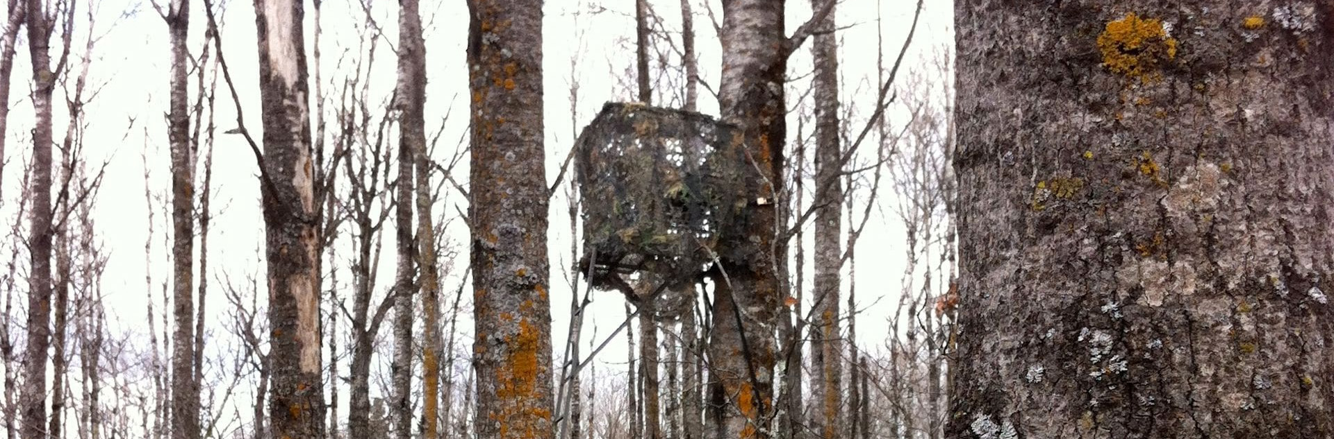 Outdoor Hunting Store -Outdoor Hunting Store 2