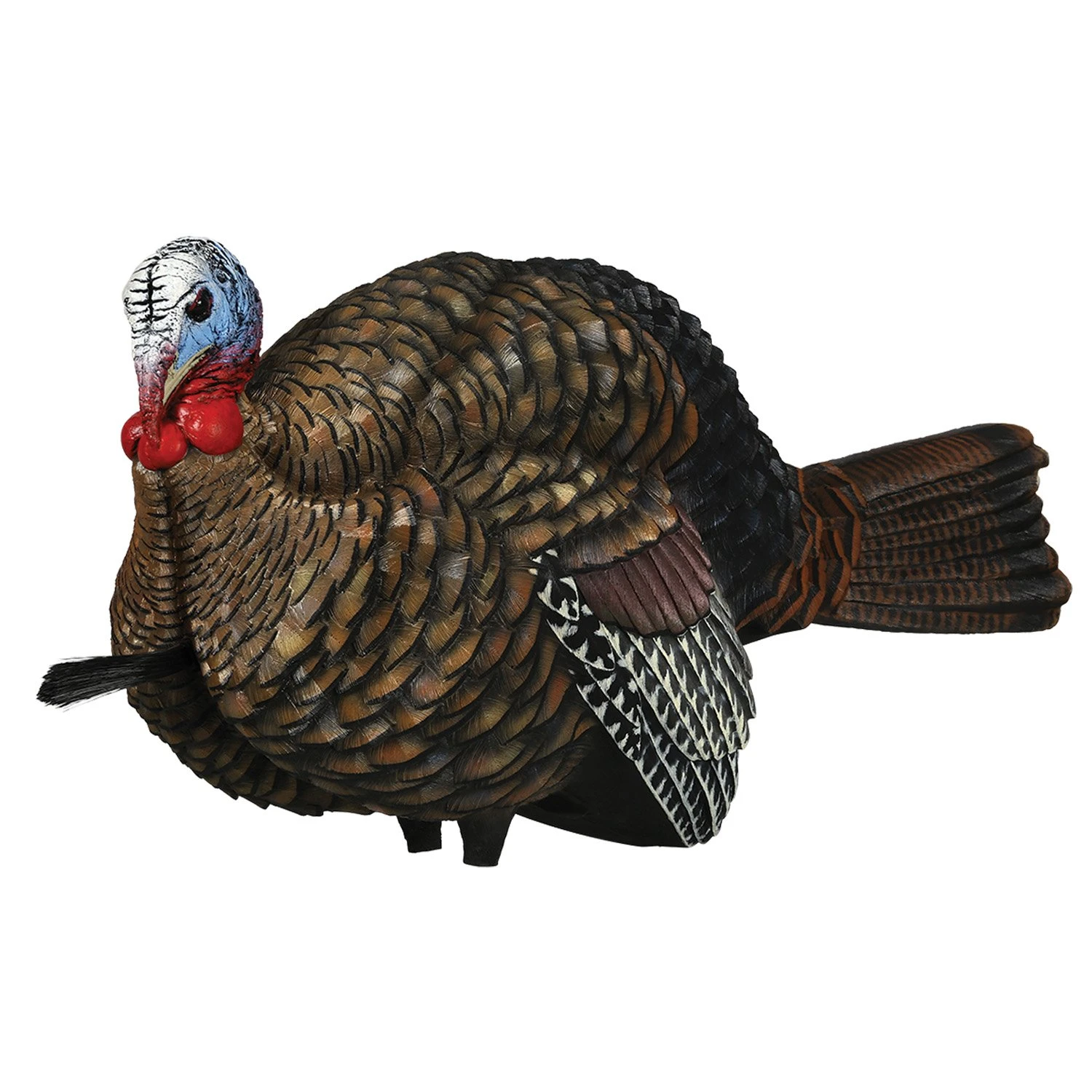 Avian-X Turkey Decoy LCD Half Strut Jake AVX8012 3 Avian-X Turkey Decoy LCD Half Strut Jake AVX8012