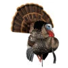 Avian-X Turkey Decoy HDR Strutter Tom AVX8108 1 Avian-X Turkey Decoy HDR Strutter Tom AVX8108 -Outdoor Hunting Store AvianX 08108 Avian X Turkey Decoy HDR Strutter AVX8108